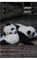 Panda Bear Week Planner Weekly Organizer Calendar 2020 / 2021 - Sweet Babies
