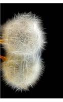 Dandelion Seeds Fractal Journal