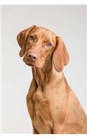 Vizsla Dog Notebook: 150 page lined 6 x 9 notebook/diary/journal