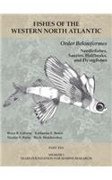 Order Beloniformes: Needlefishes, Sauries, Halfbeaks, and Flyingfishes