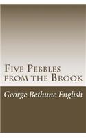 Five Pebbles from the Brook