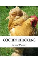 Cochin Chickens