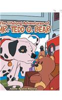 Lifelong Adventures of Mr. Tedd O. Bear