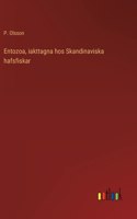 Entozoa, iakttagna hos Skandinaviska hafsfiskar