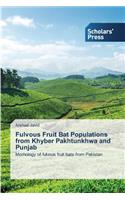 Fulvous Fruit Bat Populations from Khyber Pakhtunkhwa and Punjab