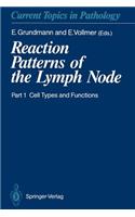 Reaction Patterns of the Lymph Node