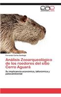 Analisis Zooarqueologico de Los Roedores del Sitio Cerro Aguara: (Spanish)