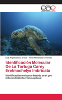 Identificación Molecular De La Tortuga Carey Eretmochelys Imbricata