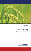 Rice Farming