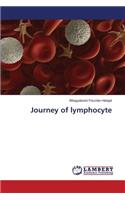 Journey of Lymphocyte