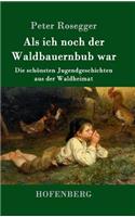 Als ich noch der Waldbauernbub war: Die schönsten Jugendgeschichten aus der Waldheimat(German)