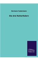 Drei Reiherfedern