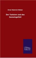 Tastsinn und das Gemeingefühl