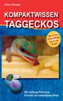 Kompaktwissen Taggeckos: Die Gattung Phelsuma. Portrats der beliebtesten Arten. Von A wie Anschaffung bis Z wie Zucht