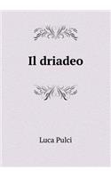 Il driadeo