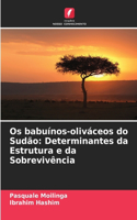 Os babuínos-oliváceos do Sudão