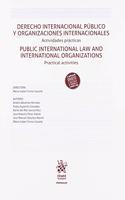 Derecho internacional publico y organizaciones internacionales: Public international law and international organizations (Manuales, Band 1)