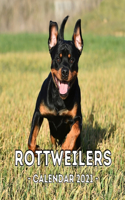 Rottweilers