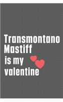 Transmontano Mastiff is my valentine: For Transmontano Mastiff Dog Fans