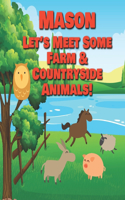 Mason Let's Meet Some Farm & Countryside Animals!: Farm Animals Book for Toddlers - Personalized Baby Books with Your Child's Name in the Story - Children's Books Ages 1-3