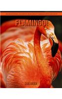 Flamingo! An Educational Children's Book about Flamingo with Fun Facts