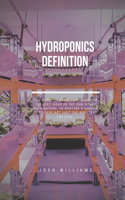 Hydroponics Definition: The Ultimate Beginners Guide to Building a Hydroponic System