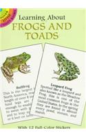 Learning About Frogs and Toads