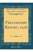Preliminary Report, 1916 (Classic Reprint)