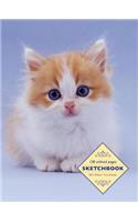 Sketchbook: Kitten