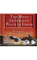 The Most Important Place on Earth