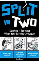 Split in Two: Keeping It Together When Your Parents Live Apart