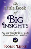 Little Book of BIG Insights Volume I