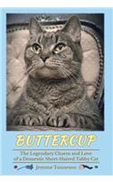 Buttercup - The Legendary Charm and Love of a Domestic Short-Haired Tabby Cat