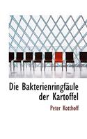Die Bakterienringf Ule Der Kartoffel