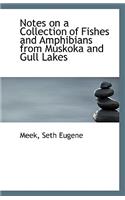 Notes on a Collection of Fishes and Amphibians from Muskoka and Gull Lakes