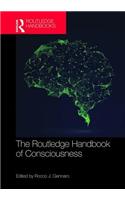 Routledge Handbook of Consciousness