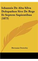 Iohannis De Alta Silva Dolopathos Sive De Rege Et Septem Sapientibus (1873): (German)