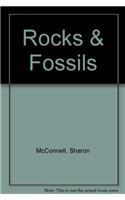 Rocks & Fossils