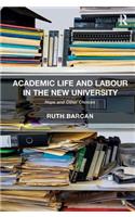 Academic Life and Labour in the New University