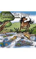 Patric the Pony and the Golden Salamander