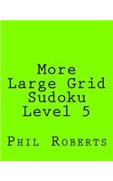 More Large Grid Sudoku Level 5: Medium to Moderate Sudoku Puzzles