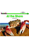 At the Shore Shared Reading Book (Lap Book)