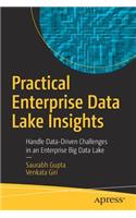 Practical Enterprise Data Lake Insights