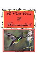 A Visit From A Hummingbird