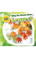 Why Do Plants Have Leaves?