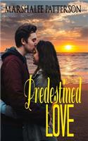 Predestined Love