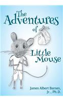 Adventures of Little Mouse