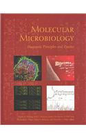 Molecular Microbiology