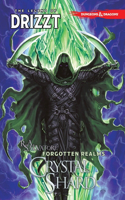 Dungeons & Dragons: The Legend of Drizzt