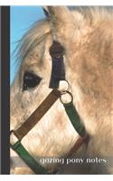 gazing pony notes: small lined Pony Notebook / Travel Journal to write in (6'' x 9'') 120 pages